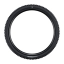 Schwalbe NOBBY NIC TLR ADDIX Green 29x2.4"